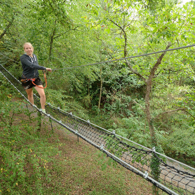 Parcours dans les arbres en Sud Vienne Poitou